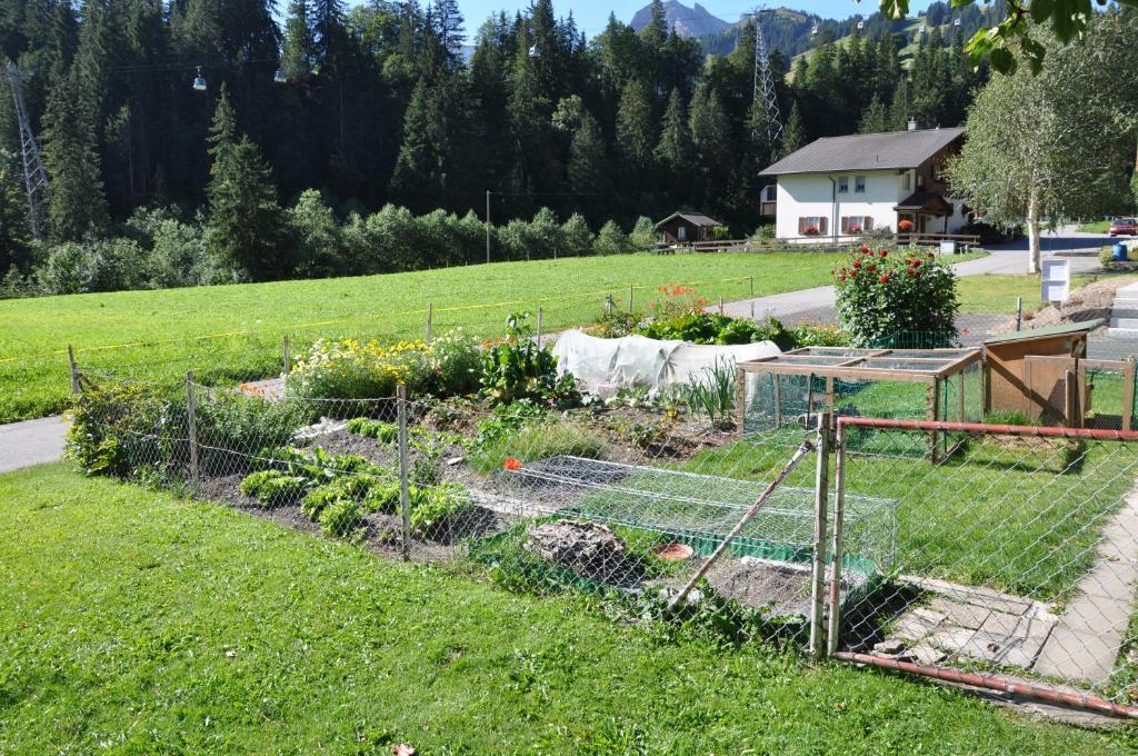 Chalet Allmegrat Adelboden Exterior photo